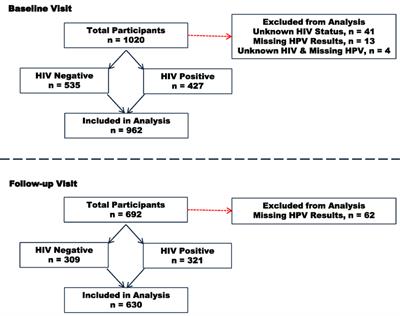 high risk hpv)